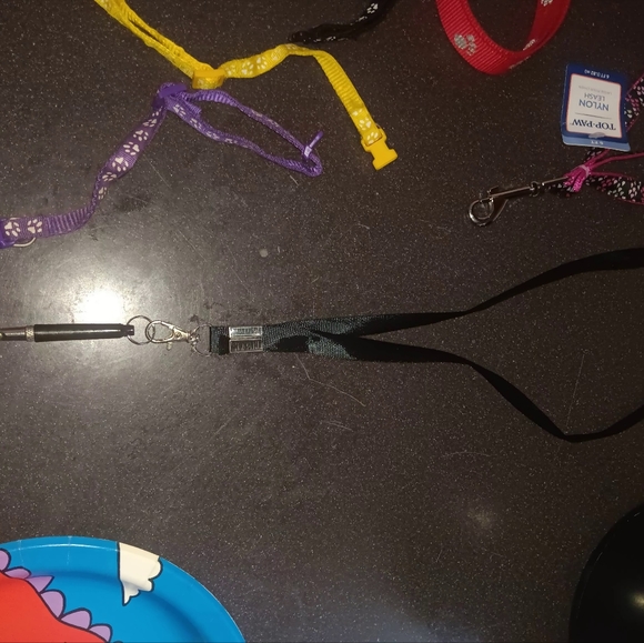 Leashes - Picture 12 of 15